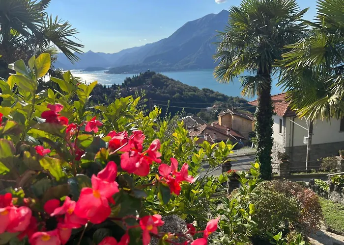 Villa Silvana