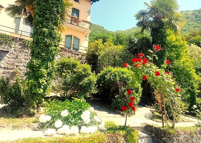 Silvana